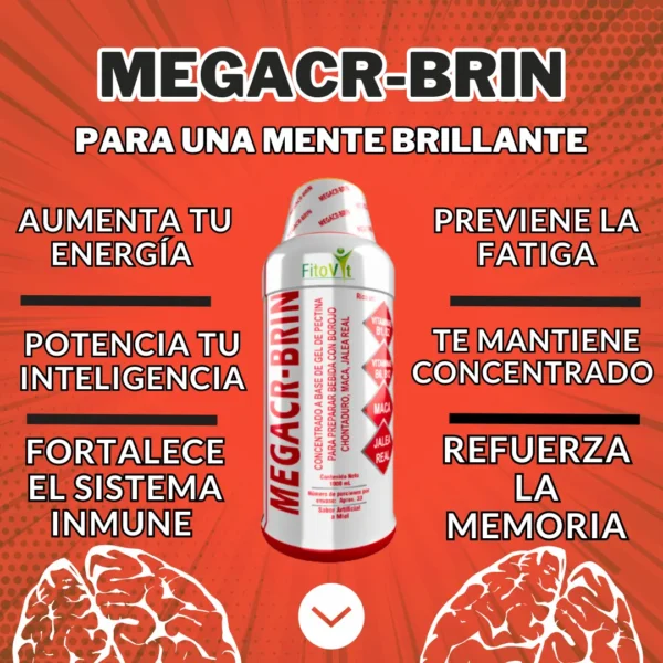 MEGACR-BRIN - Image 2