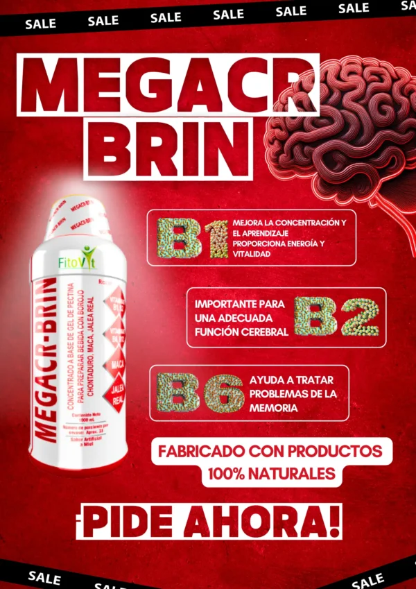 MEGACR-BRIN - Image 11
