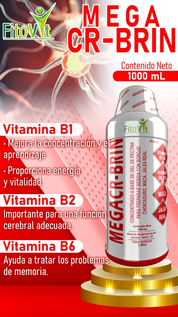 MEGACR-BRIN - Image 3