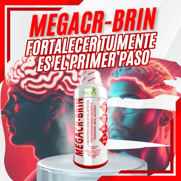 MEGACR-BRIN - Image 4
