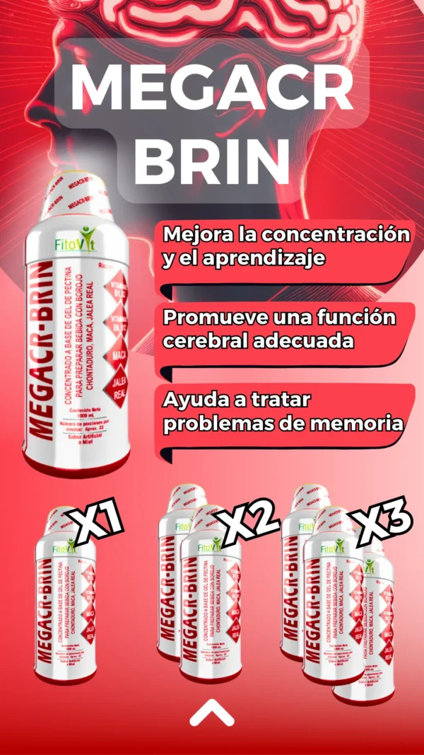 MEGACR-BRIN - Image 7