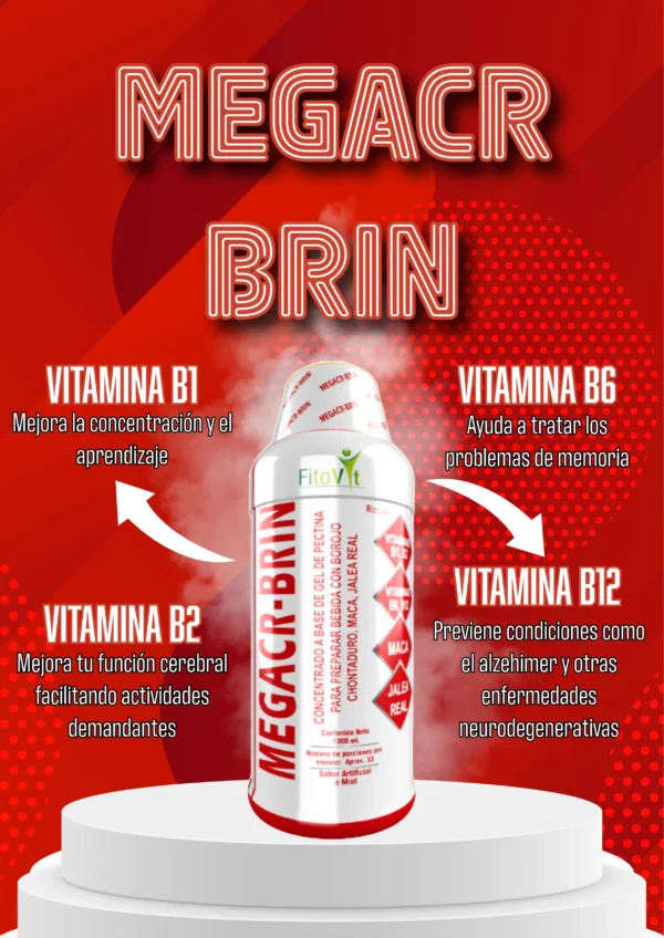 MEGACR-BRIN - Image 9