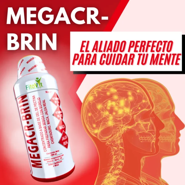 MEGACR-BRIN - Image 10